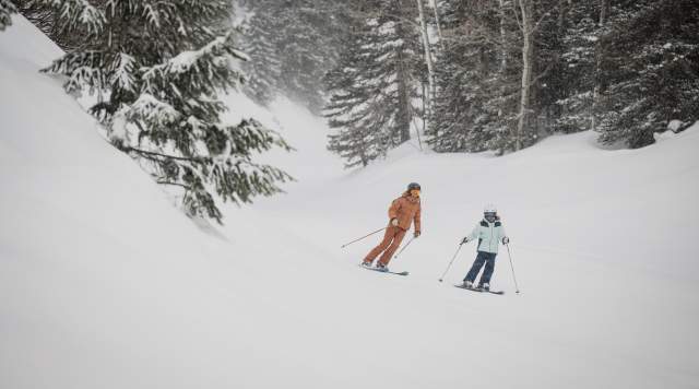 Shred for Red Fundraiser