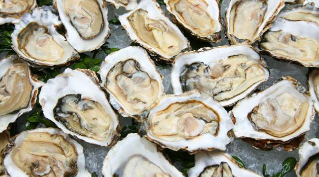 Private Oyster-Shucking Masterclass with Oscar's Oysters and OTC Wines