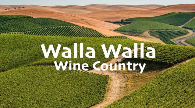 Recess on Main - Wines of Walla Walla