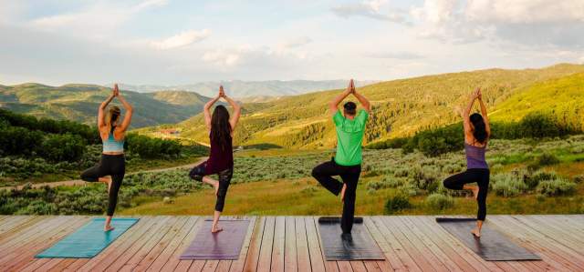 Wellness Yoga with a View