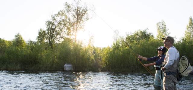 Man and woman fly fishing in the summer on the Provo River.