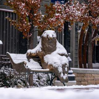 A sculpture of Franz the bear on Main Street covered in snow in Park City, UT