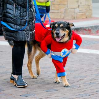 Tips for Attending Howl-O-Ween