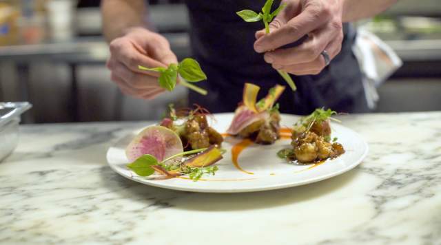 close up of hands plating a dish