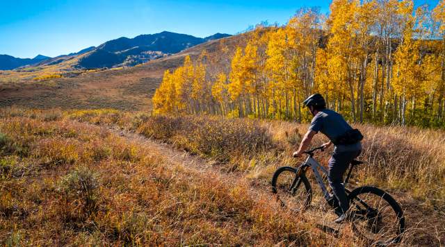 a man Mounting Biking in the Fall