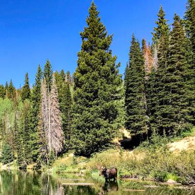 The Best Park City Day Hikes