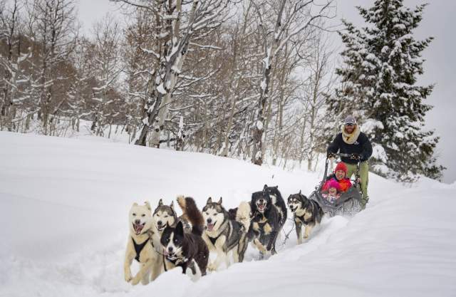 Dogs charging through fresh snow pulling sled with smiling mother and daughter.