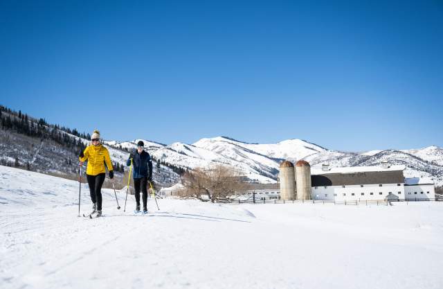 Man and Women Nordic Skiing on a bluebird day at Park City Nordic Center Man and Woman Nordic Skiing on a bluebird day at the white pine nordic center.
