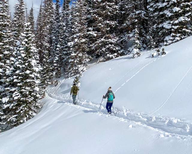 Two people entering forrest on snowshoe trail