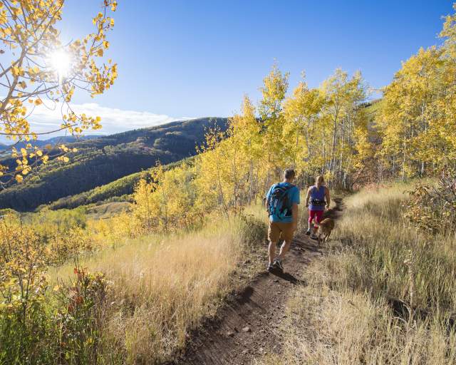 Couple hiking with their dog on sunny fall day