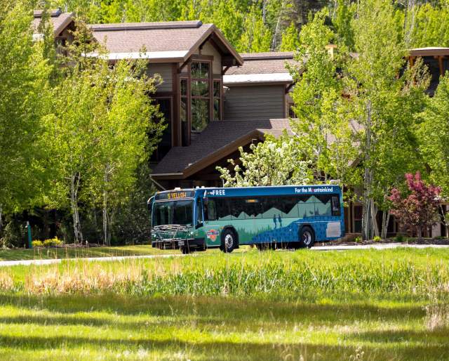 A city bus drives across a road surrounded by green grass and foliage in Park City, UT