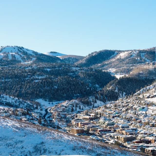 Winter Header New Member Spotlight