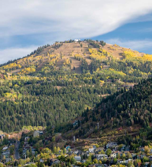 Fall Scenic of Old Town