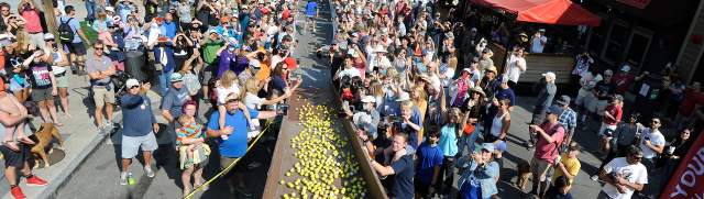 The Running of the Balls event on Miners Day on Main Street, Park City, UT