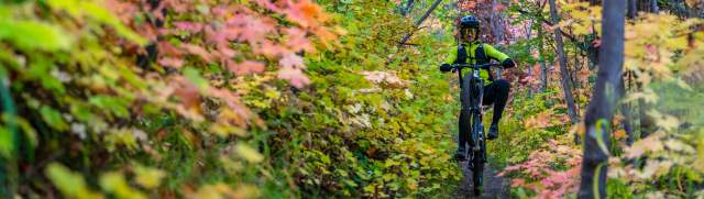 A mountain biker wheelies on a trail through a tunnel of fall leaves near Park City, UT