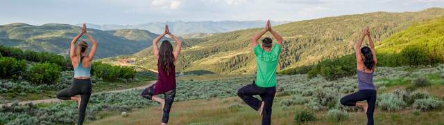 Wellness