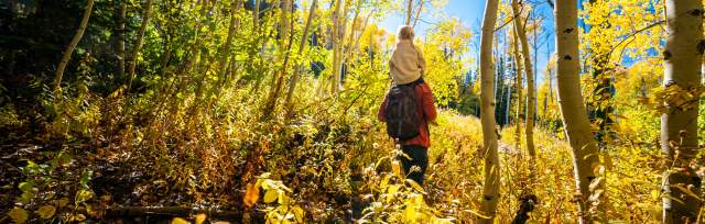 A girl rides on her dad's shoulders while hiking through fall leaves
