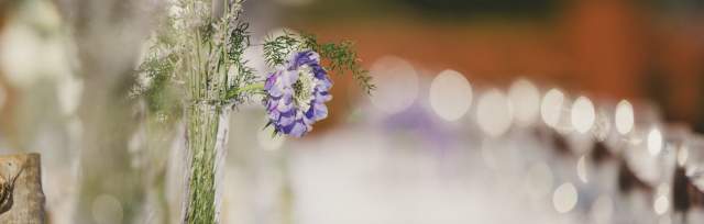 Wedding Table set with purple flowers
