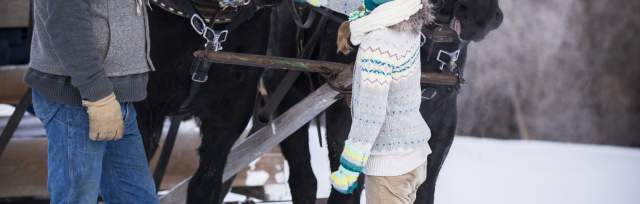 Horse Drawn Sleigh at Stillman Ranch