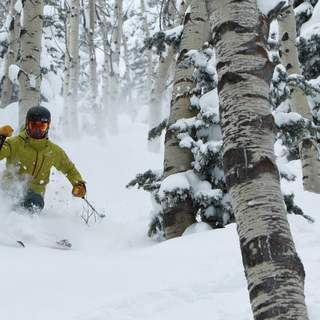 Basic Avalanche Awareness: Know Before You Go