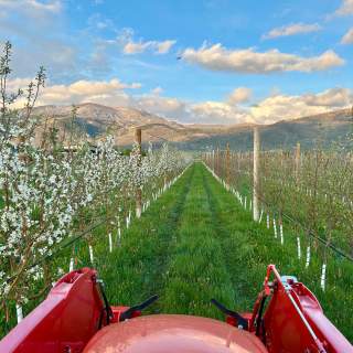 Dendric Estate in Kamas Gets Mountain Cider Fans Excited