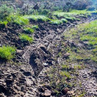 Tips to Avoid Spring Trail Damage