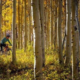 Intermediate Mountain Bike Rides in Park City