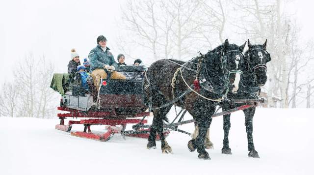 Experience a Magical Moment on a Family Sleigh Ride in Park City