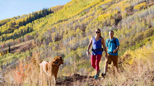 Small Town Stories: Edward Jones Cronley Gies Wealth Management