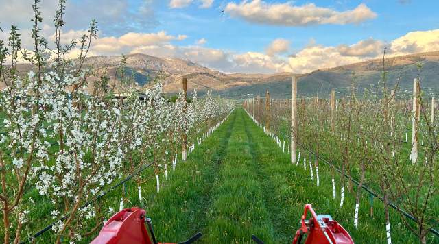 Dendric Estate in Kamas Gets Mountain Cider Fans Excited