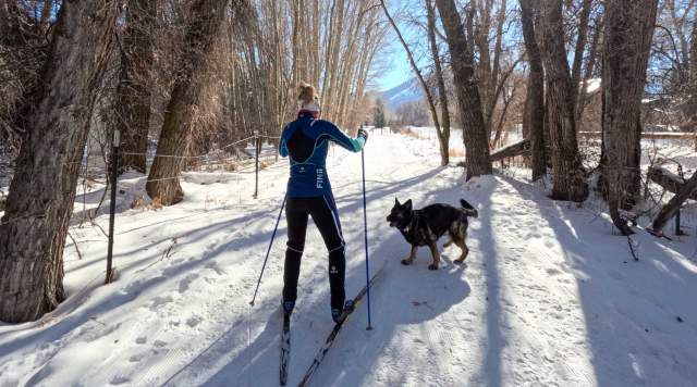 Where to Find the Best Dog-Friendly Cross Country Trails in Park City