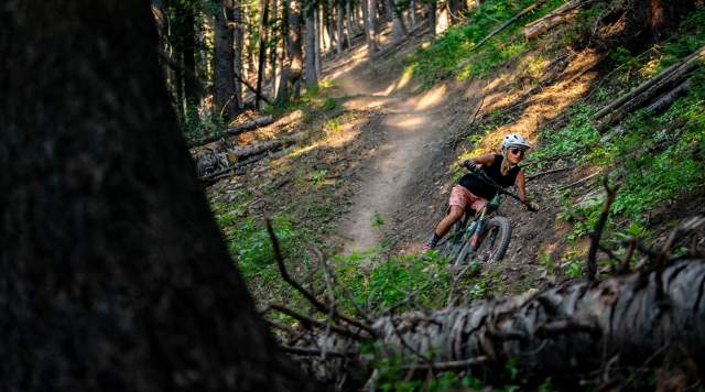 A mountain biker rides a trail winding through dense woods in Park City, UT