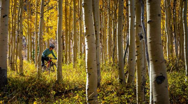 Intermediate Mountain Bike Rides in Park City