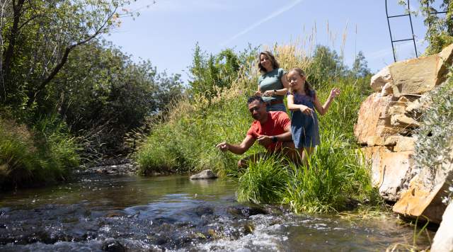 Family by a creek skipping stones
