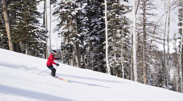 Park City Pulse: Finding the Flow