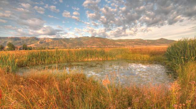 Visit The Swaner Nature Preserve and Learn About Environmental Stewardship in Park City