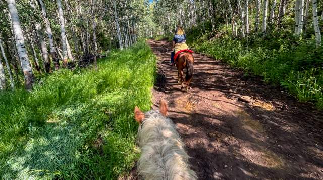Pony Up: Horseback Riding Near Park City!