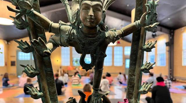 High Elevation Wellness at The Shop Yoga Studio