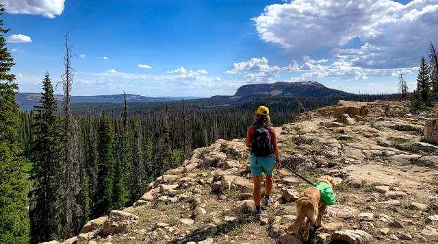 Trails for Dogs and Dog Etiquette