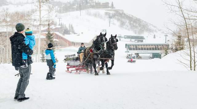 Best Activities for a Multigenerational Ski Trip