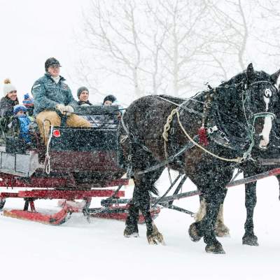 Experience a Magical Moment on a Family Sleigh Ride in Park City