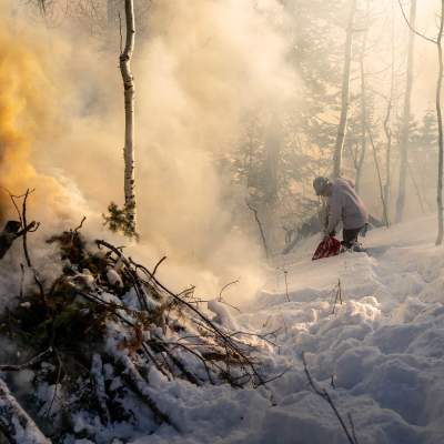 Fighting Fire with Fire: Alpine Forestry