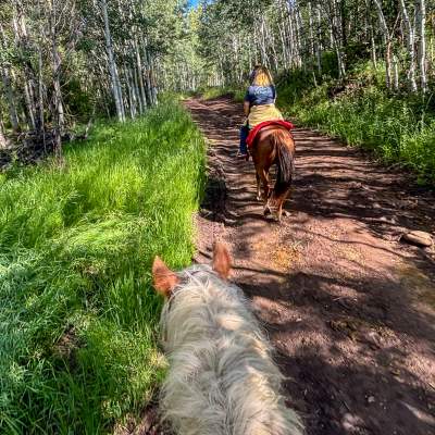 Pony Up: Horseback Riding Near Park City!