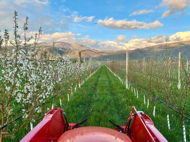 Dendric Estate in Kamas Gets Mountain Cider Fans Excited