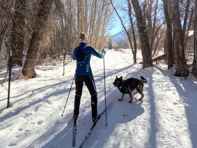 Where to Find the Best Dog-Friendly Cross Country Trails in Park City