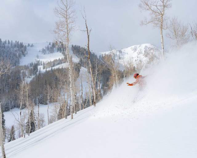 A snowboarder carves through powder snow with mountains in the background