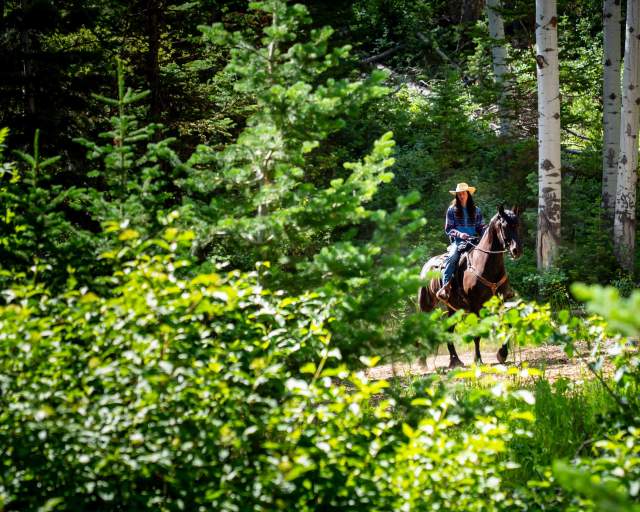 A lone woman rides a horse  through a green forest in Park City, UT