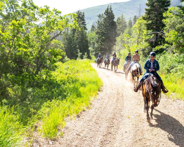 A group of people ride horses in a line down a dirt road surrounded by green foliage in Park  City, UT