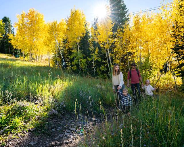 A young family of four hike on a trail surrounded by fall leaves at Deer Valley Resort in Park City, UT