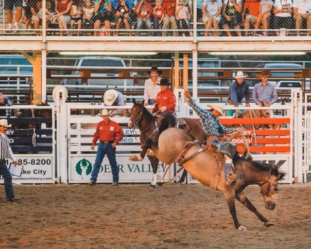 Bronco Riding at the Oakley Rodeo